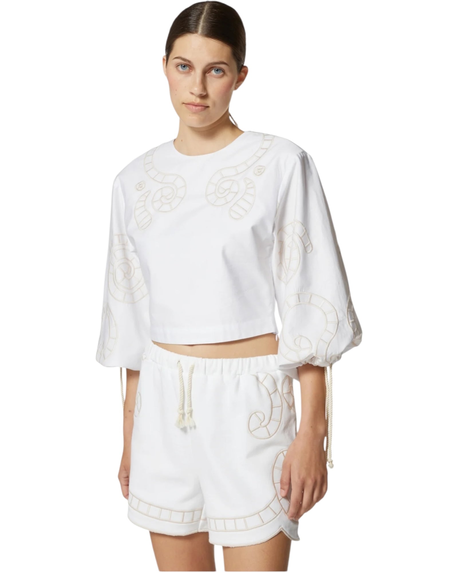 Crop top με κέντημα και μανίκια